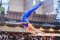 Andrea Passini, campione di ginnastica artistica maschile e studente di Ingegneria Civile e Ambientale a Unife